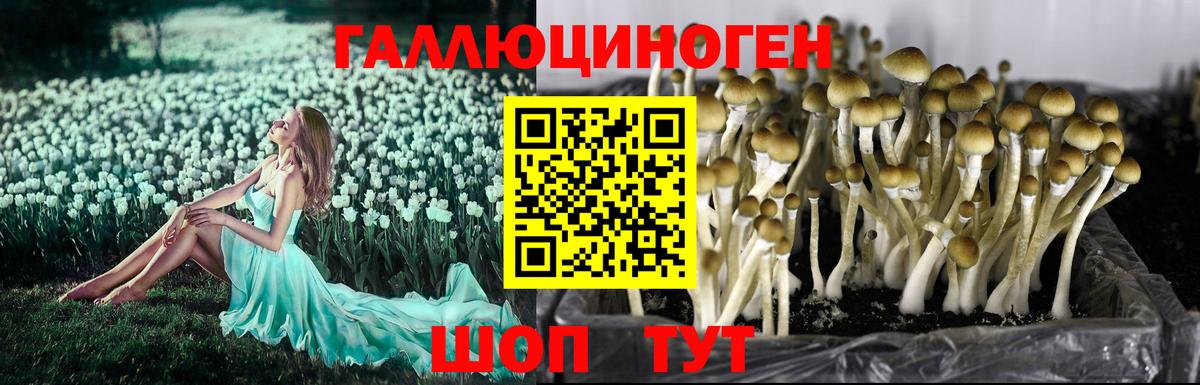 Галлюциногенные грибы Cubensis  Галлюциногенные грибы мицелий  Саянск  Вход с VPN 